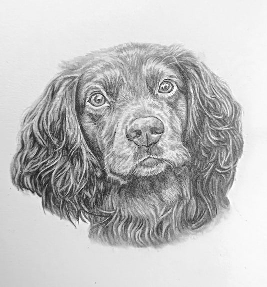 A5 (148x210mm) pet portrait