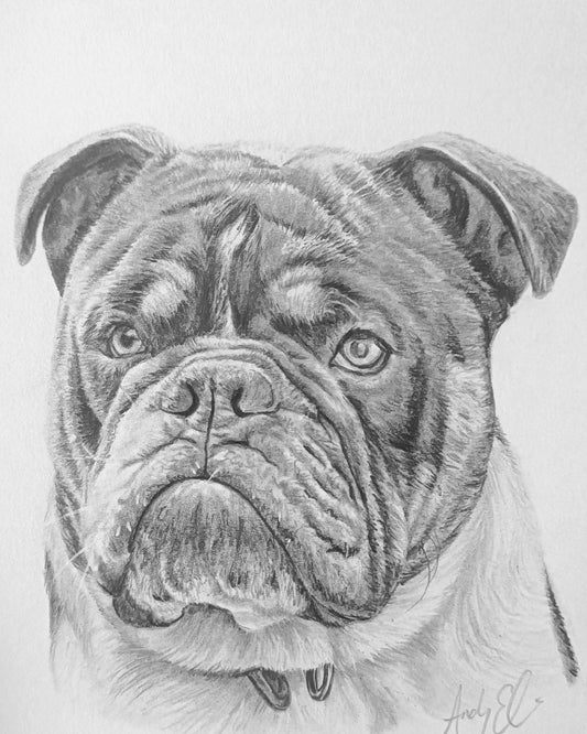 A3  (29.7cm x 42cm) pet portrait