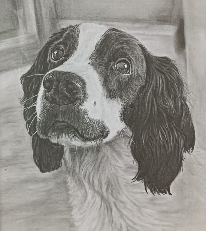 A5 (148x210mm) pet portrait