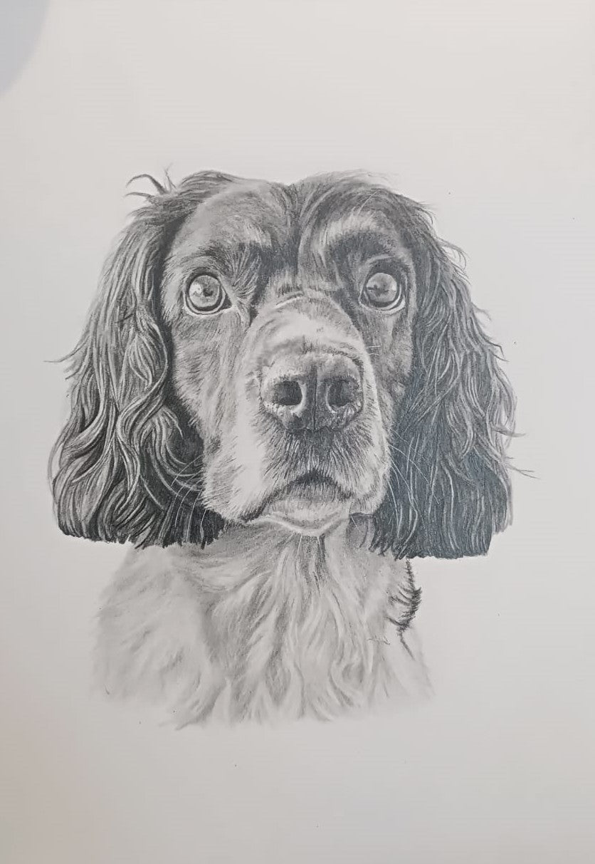 A4 (210 x 297mm) pet portrait