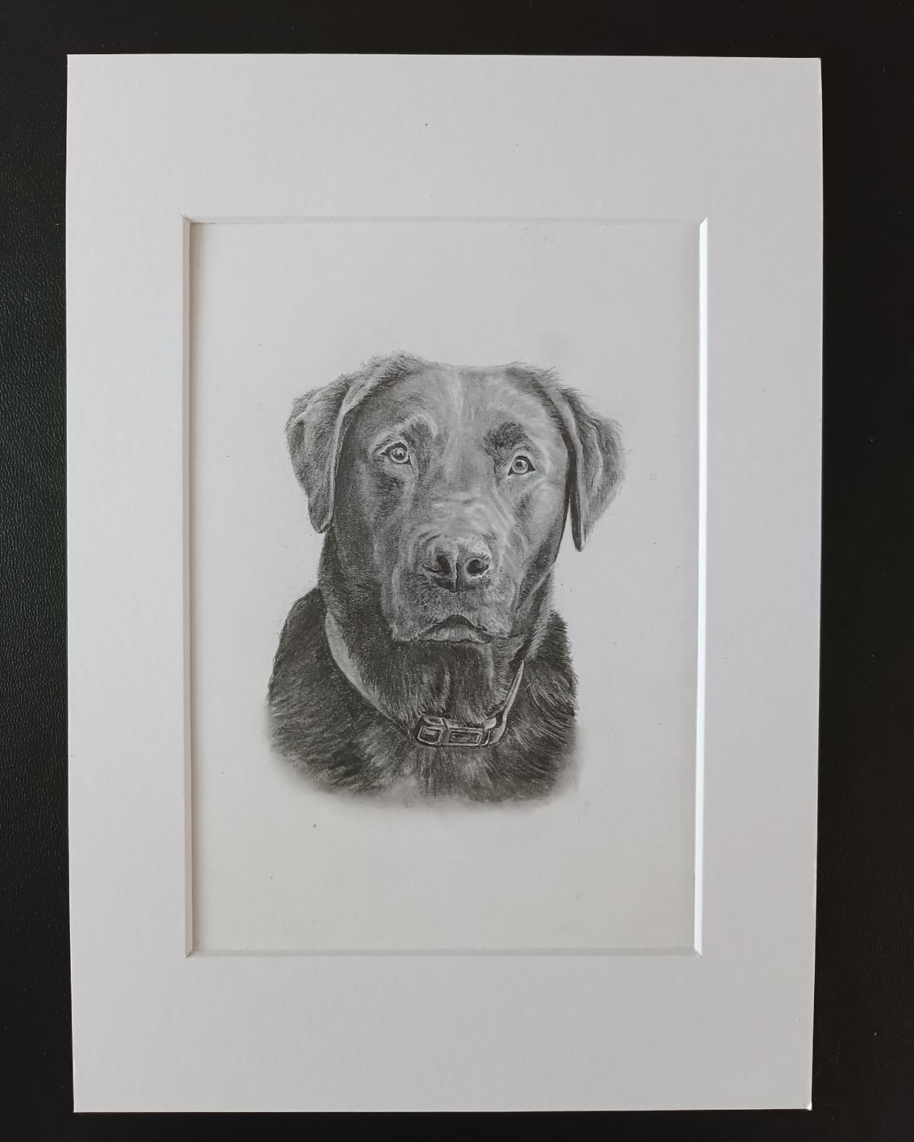 A4 (210 x 297mm) pet portrait