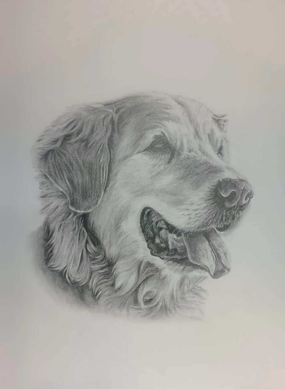 A4 (210 x 297mm) pet portrait