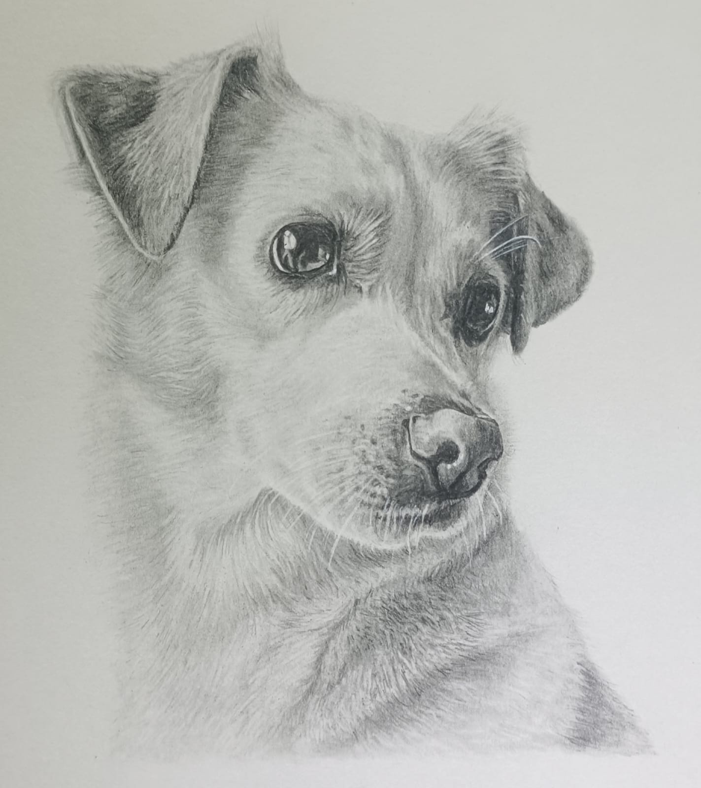 A4 (210 x 297mm) pet portrait