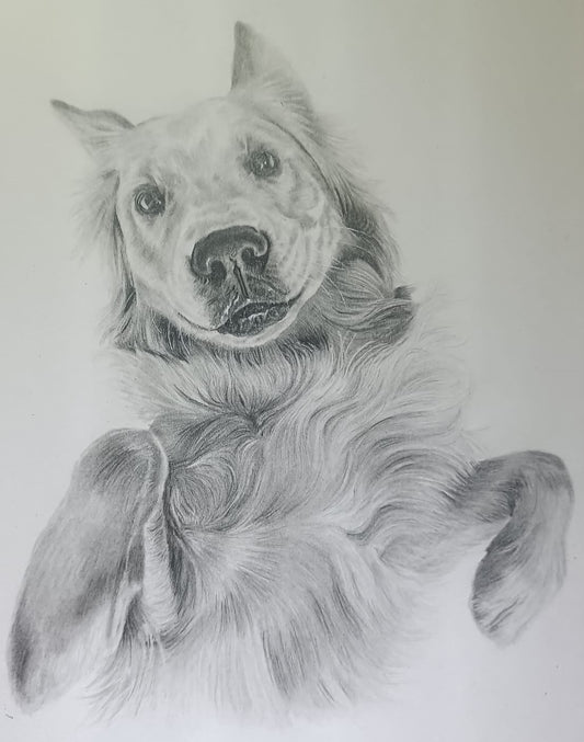 A4 (210 x 297mm) pet portrait