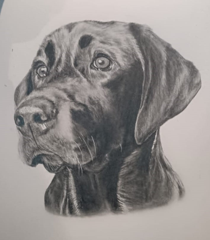 A5 (148x210mm) pet portrait